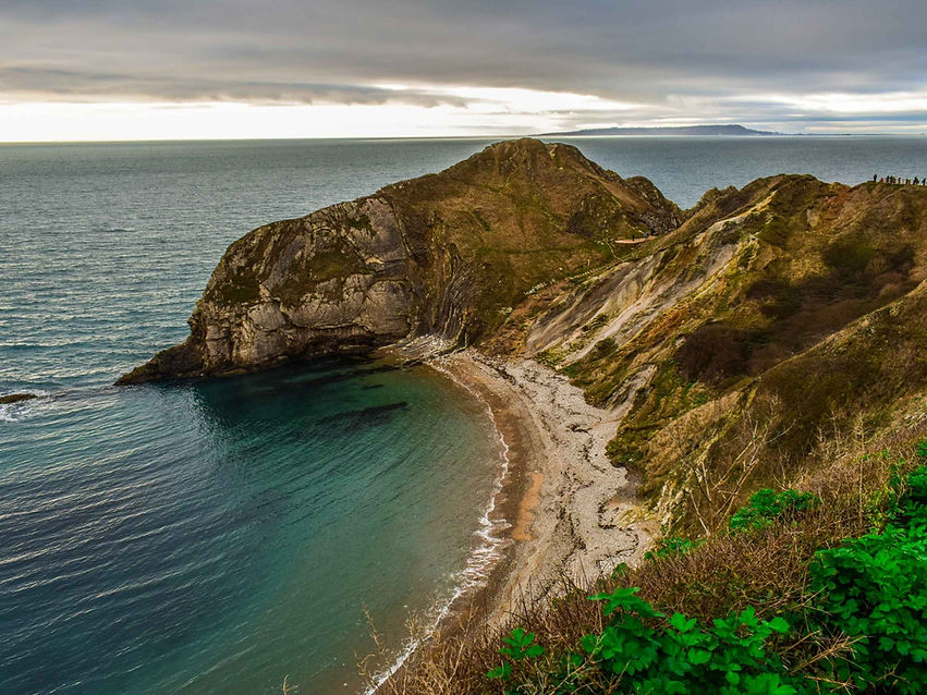 Momentum Health Website Large.jpg