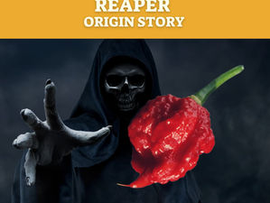 The Carolina Reaper Origin Story