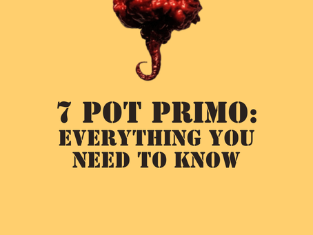 the 7 pot primo