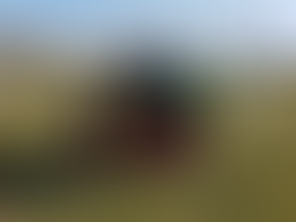 ⚽(U10V) Un sabato da leoni ...