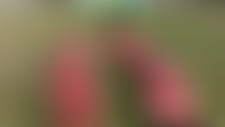 (U10R) Bravi lo stesso