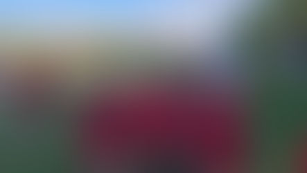 (U8) Non c'è tre senza quattro