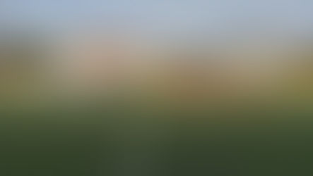 (U14V) Irriconoscibili