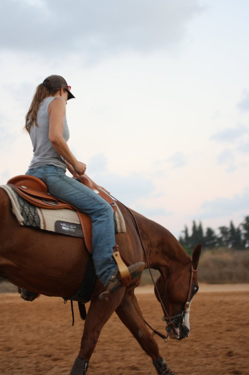 The Reining Philosophy