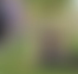 Proofing Dog Training: Duration, Distance, and Distractions