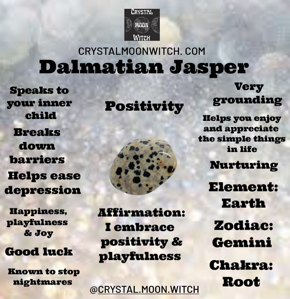 Thumbnail: Dalmatian Jasper necklace 