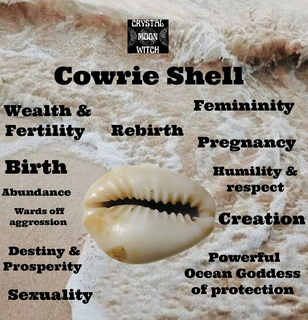 Thumbnail: Cowrie shell necklace 