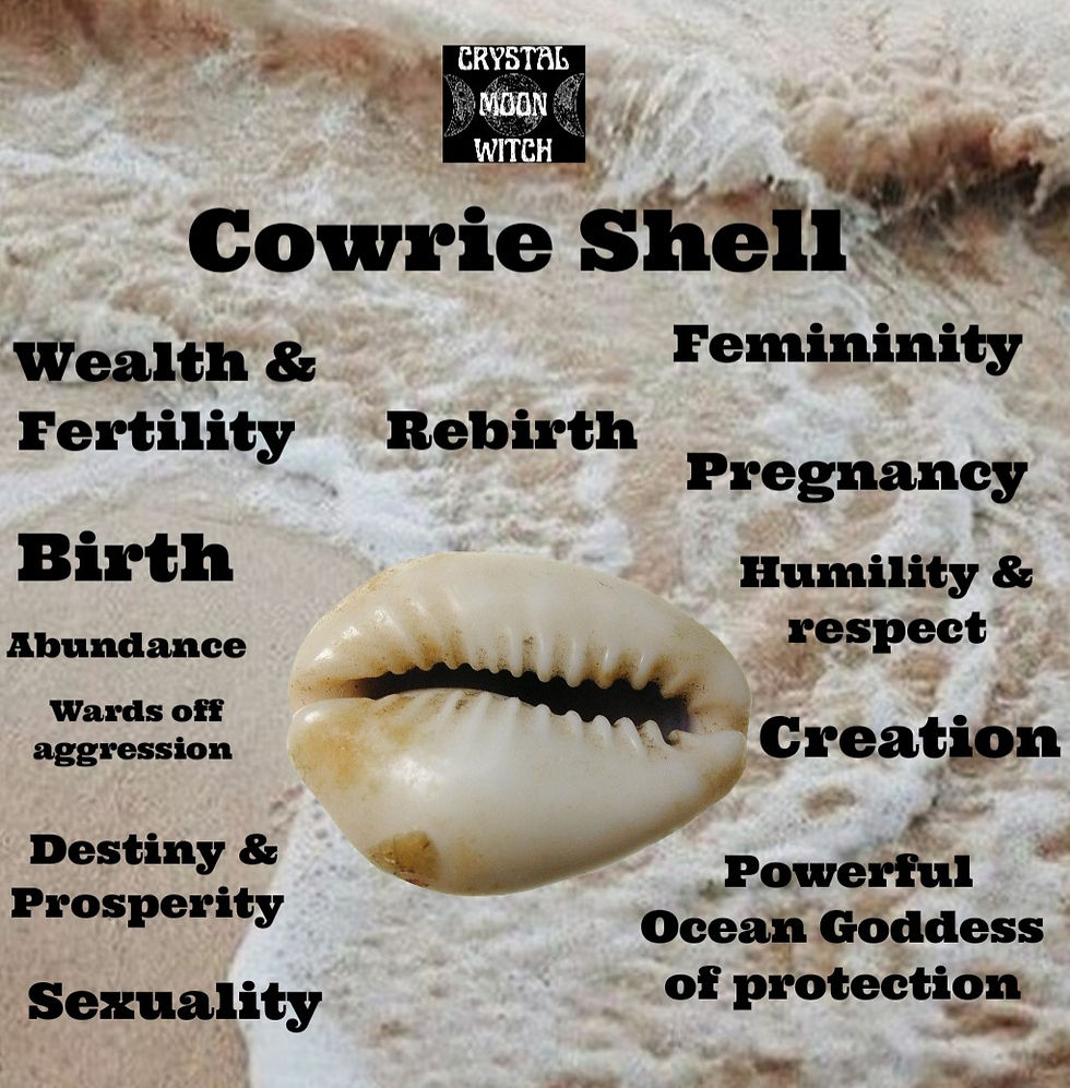 Thumbnail: Cowrie shell necklace 