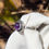 Thumbnail: Amethyst Ring Size T