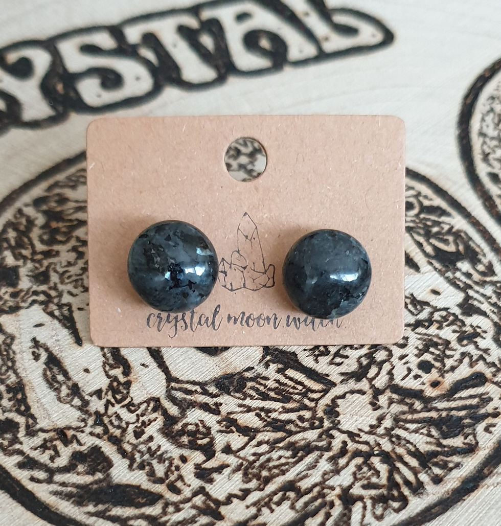 Thumbnail: Larvikite earings studs