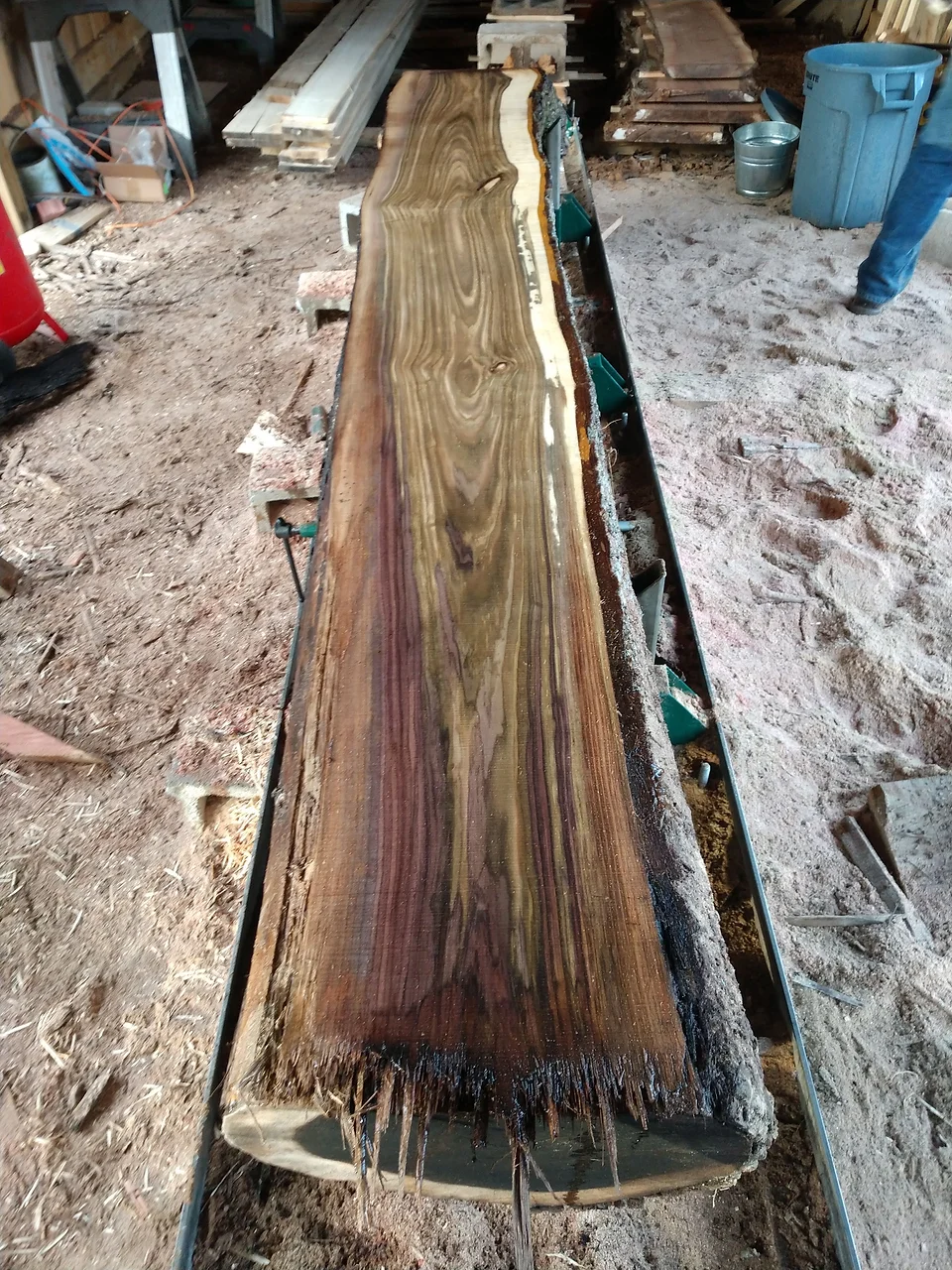 Black Walnut Slab Collection Gallion Ridge Farms