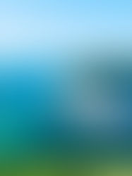 7-Day Western Caribbean Round-Trip Miami: Harvest Caye, Cozumel & Roatan