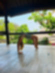 Yoga & Déjeuner