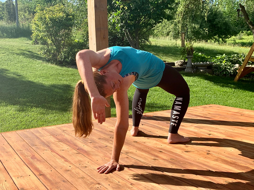 Animal Flow - Wednesday 5:45pm Summer Session