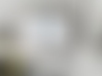 More about the rear hatches