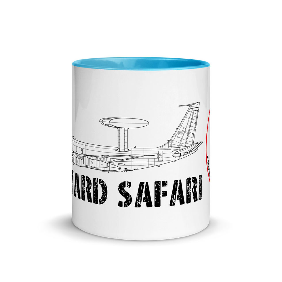 Boneyard Safari E-3A Coffee Mug with Color Inside