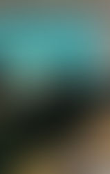 Not the best way to protect your country