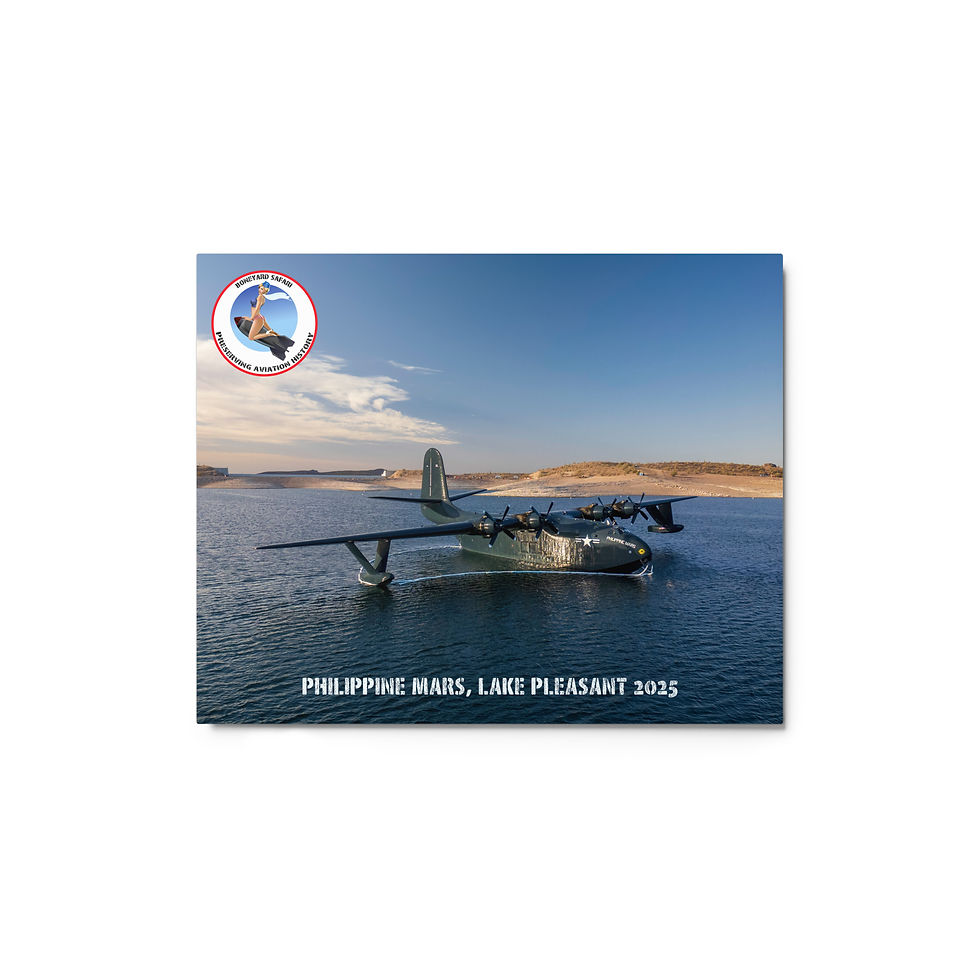 Philippine Mars at Lake Pleasant Metal Print