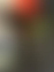 What is it?