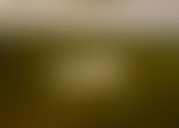 NASA 740 with a rotor