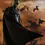 Thumbnail: Hot Toys QS009 Batman Begins 1/4 Christian Bale Bruce Wayne (BOXED)