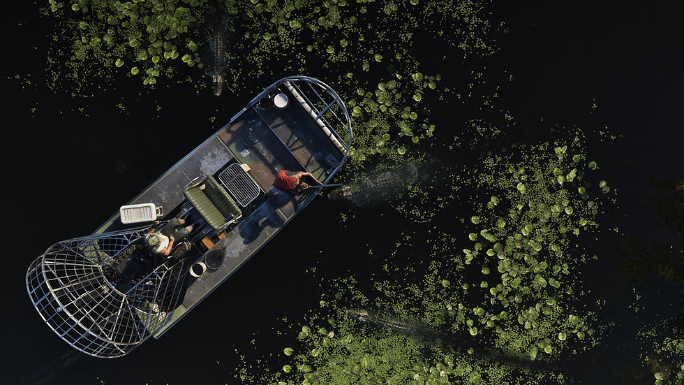 Thumbnail: XBOX SERIES: Grand Theft Auto VI (NEW)