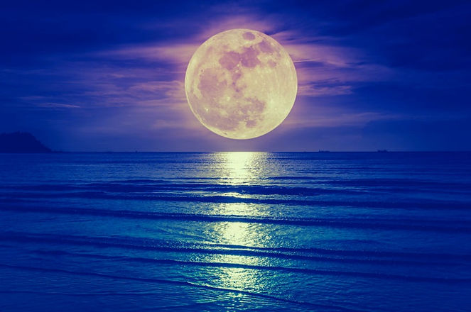beavermoon_edited.jpg
