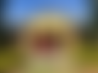 Celebrating 12 months of impact