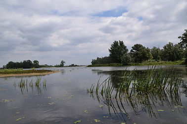DSC_0173.jpg