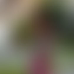 Little Black Girl Riding Her Bike