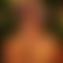 Becoming a Floral Storyteller