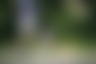 Unser Schulhund, Cookie