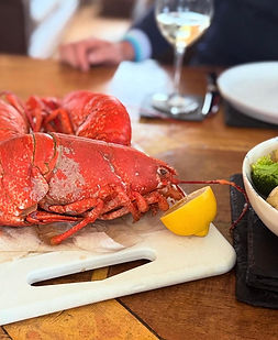 WhatsApp Image 2026-01-30l at 1.35.09 PM.jpeg