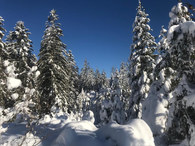 Paysage enneigé