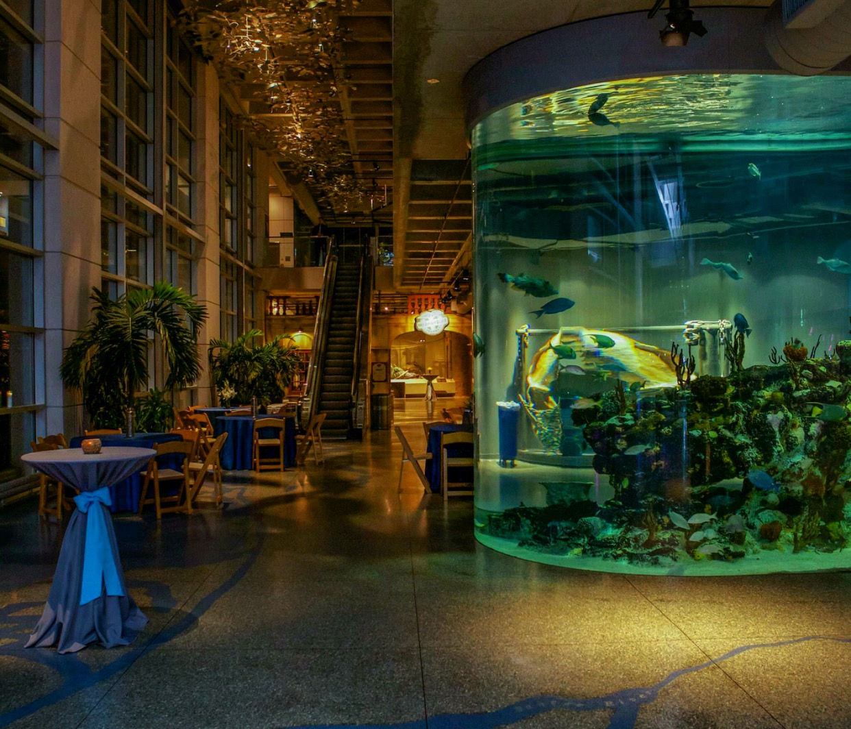 UGA Sigma Chi Formal Weekend Deposit