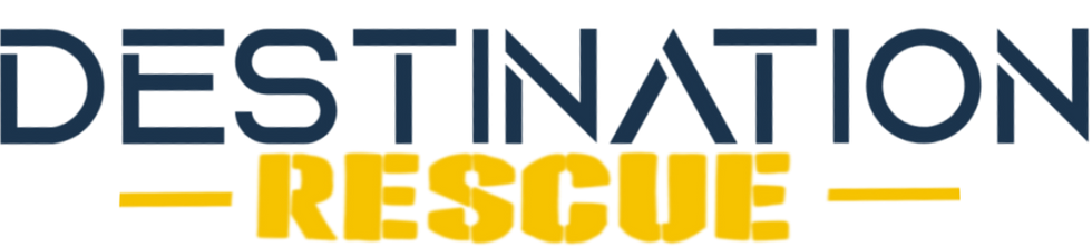 DR LOGO.png