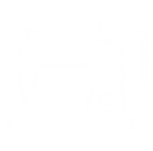 Retrouvez nous aussi sur les reseaux (15).png