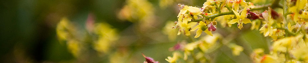 Psycholoog Alkmaar, therapie alkmaar, psychologie alkmaar, mischa van esveld, coaching, training