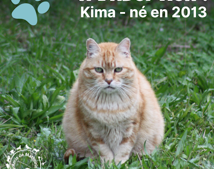 Kima