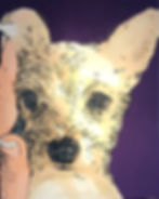 Macy