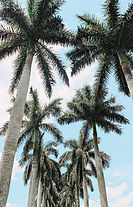 Z.Z.Z.Z.ZZzzz.630 (1 of 1).jpg