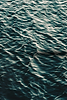 Untitled.png