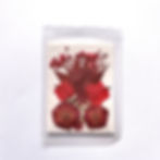 Getrocknete und gepresste echte Blumen für Epoxidharz und UV-Harz