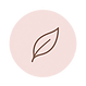 Elegantes Blatt im Rosé-Kreis-2.png