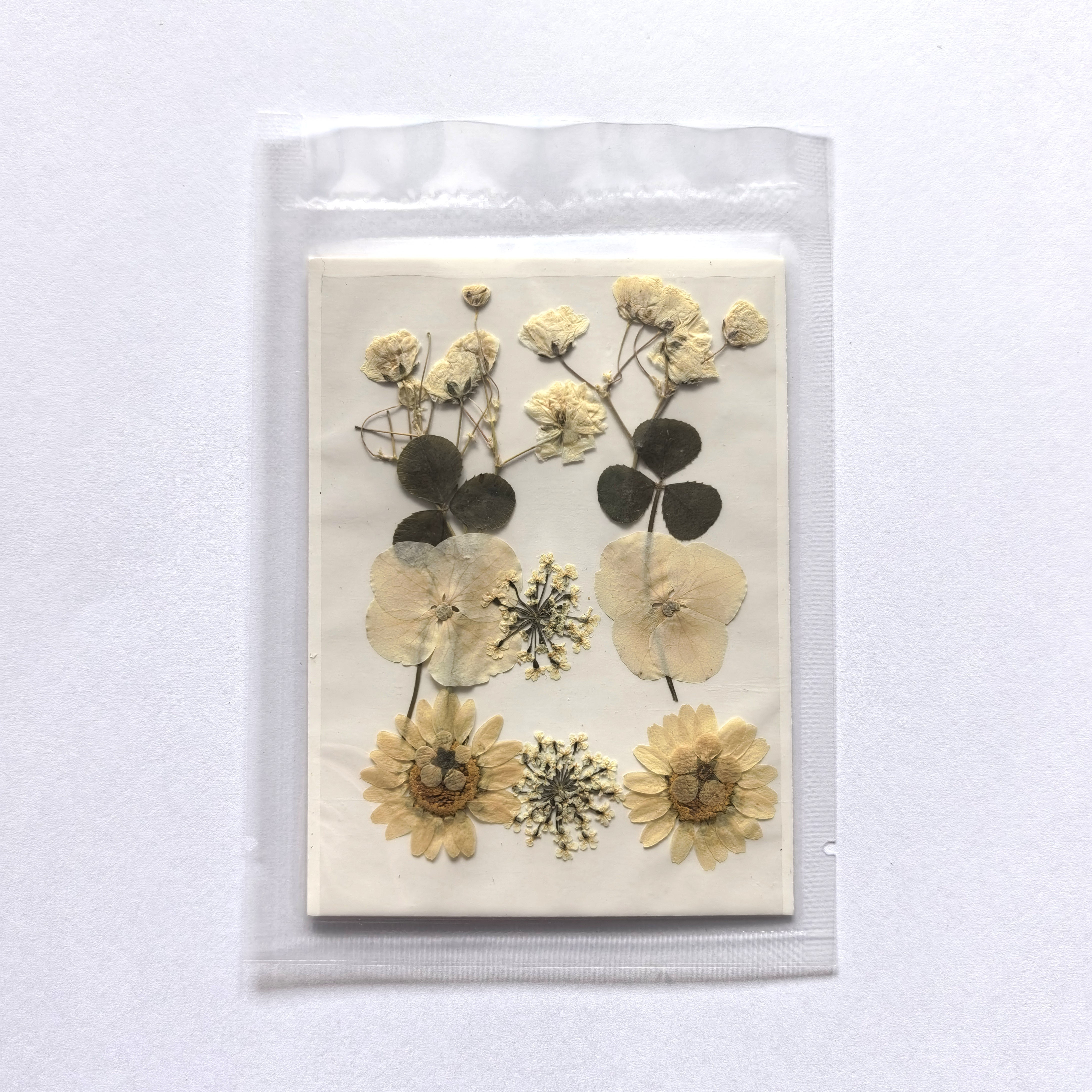 Gepresste Blumen eingebettet in Epoxidharz – Resin Art Material