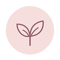 Sprössling-Icon für tägliche Pflege-3.png