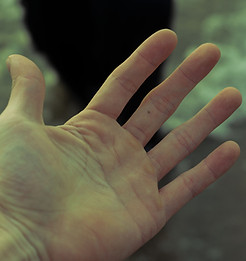 Harry's hand.jpg