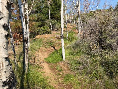Running Uphill