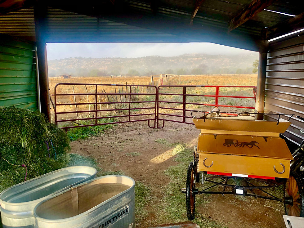 ranch barn