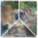 Amavasya, born 9/15